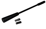 AERZETIX: Embout brin d'antenne auto - autoradio universel - 14cm - Filetage M5, M6 - Noir