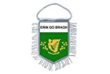 Akachafactory Fanion Mini Drapeau Pays Voiture Decoration Irlande Erin go Bragh