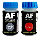 Alex Flittner Designs Stylo de retouche pour Hyundai XAF Ice Blue Metallic + vernis transparent 50 ml