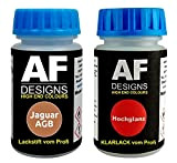 Alex Flittner Designs Stylo de retouche pour Jaguar AGB Sandstone métallique + vernis transparent 50 ml