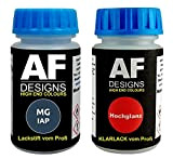 Alex Flittner Designs Stylo de retouche pour MG IAP Monogram Nocturne métallisé + vernis transparent 50 ml
