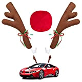 Angooni Costume de renne pour voiture, décoration de Noël, kit de renne, bois et nez pour voiture, camion, van et ...