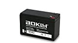 Aokly Power Batterie au Plomb AGM 12 V - 7 Ah/Modèle 6FM7