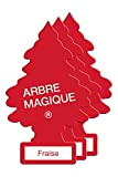 Arbre Magique Kit Pino 3 Fraises CS8