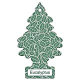 Arbre Magique PER90532 Désodorisant Voiture Eucalyptus