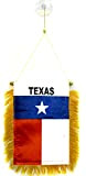 AZ FLAG Fanion Texas 15x10cm - Mini Drapeau Texan - Etat américain - USA - Etats-Unis 10 x 15 cm ...