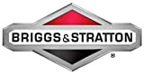 Briggs & Stratton Module de carburant Assy 59652