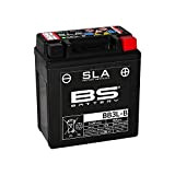 BS battery 300842 bb3l-B AGM SLA Moto Batterie, Noir