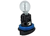 CARALL LA1728 Lampe halogène HP24 W 12 V 24 W Clear P24 W avec base de fixation pour feux diurnes