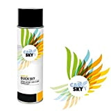 Carsky - Spray Apprêt gris clair garnissant