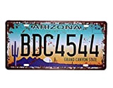 Eureya Arizona BDC4544 automatique de voiture de plaque d'immatriculation Tag Home/CAFE Bar/Pub/restaurant/salon Décoration murale Poster vintage plaque 15,2 x 30,5 ...