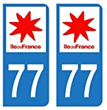 HADEXIA Autocollant Stickers Plaque immatriculation Voiture Auto département 77 Seine-et-Marne Logo Région Ile-de-France