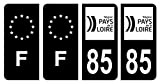 HADEXIA Lot 4 Autocollants Plaque immatriculation département 85 Vendée Région Pays de la Loire Noir & F France Europe