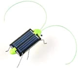 Hinleise Énergie solaire - Plante verte - Pour insectes, loquetiers