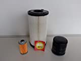 Lot de filtres compatibles avec Iseki TM 3160, filtre à huile, filtre à air, filtre à carburant.