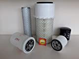 Lot de filtres (grand) compatibles avec Bobcat 753 et 753 BICS filtre à huile, filtre à air, filtre à carburant, ...