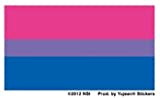 NSI - Bi Pride Flag Mini autocollant Stickers - 2.5 x 1.5" - Weather Resistant, Long Lasting for Any Surface