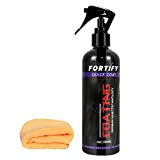 Raburt Fortify Quick Coat Spray polissant et isolant pour voiture