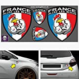 RACING DIRECT Pack écussons Sticker Equipe DE France Drapeau français et Coq Tricolore 0083