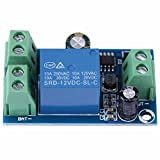 Riuty Commutateur d'alimentation CC/de Batterie, Module de Commutation Automatique d'urgence de contrôleur de Batterie d'alimentation de contrôleur 10A CC 12V ...