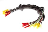 SenCom 503020 Kit de réparation pour faisceau de câbles hayon