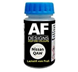 Stylo de retouche de peinture pour Nissan QAW Whte, séchage rapide, peinture de voiture