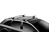 Thule Raised Rail Evo Pieds pour véhicules Taille Unique Noir