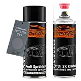 TRISTARcolor Peinture Voiture Kit Bombes de Peinture 2K pour Mercedes/Daimler Benz 787 Mountaingrau Metallic/Mountain Grey Metallic Peinture de Base 2 ...