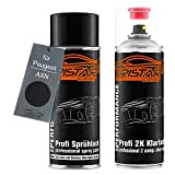 TristarColor Peinture Voiture Kit Bombes de Peinture 2K pour Peugeot AXN Noir Peinture de Base 2 Composants Vernis Clair aérosol