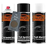 TRISTARcolor Peinture Voiture Kit Bombes de Peinture pour Pare-Chocs en Plastique pour Smart EAI Dark Grey Metallic Primaire d'adhérence Peinture ...