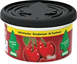 Wunderbaum Arbre Magique® Désodorisant Voiture, Cherry Fiber Can